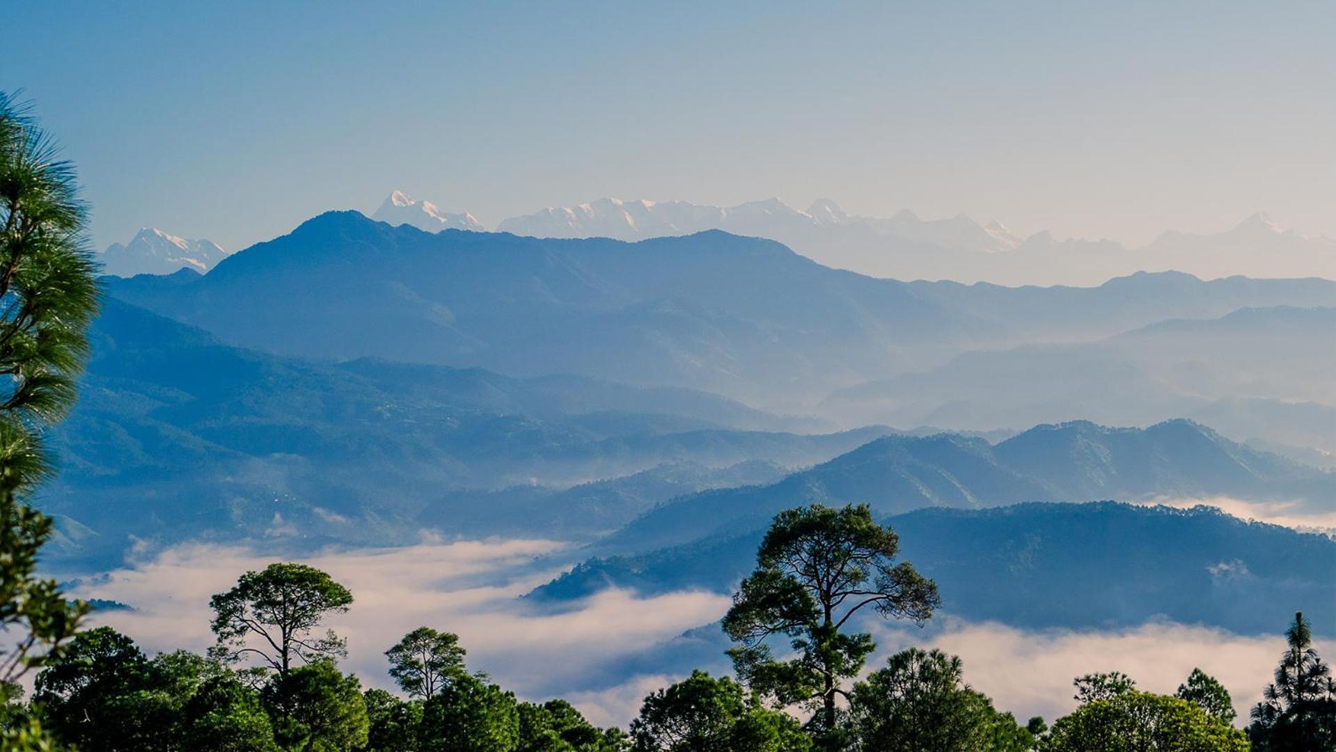 Seed At Queens Meadows, Ranikhet Exterior photo