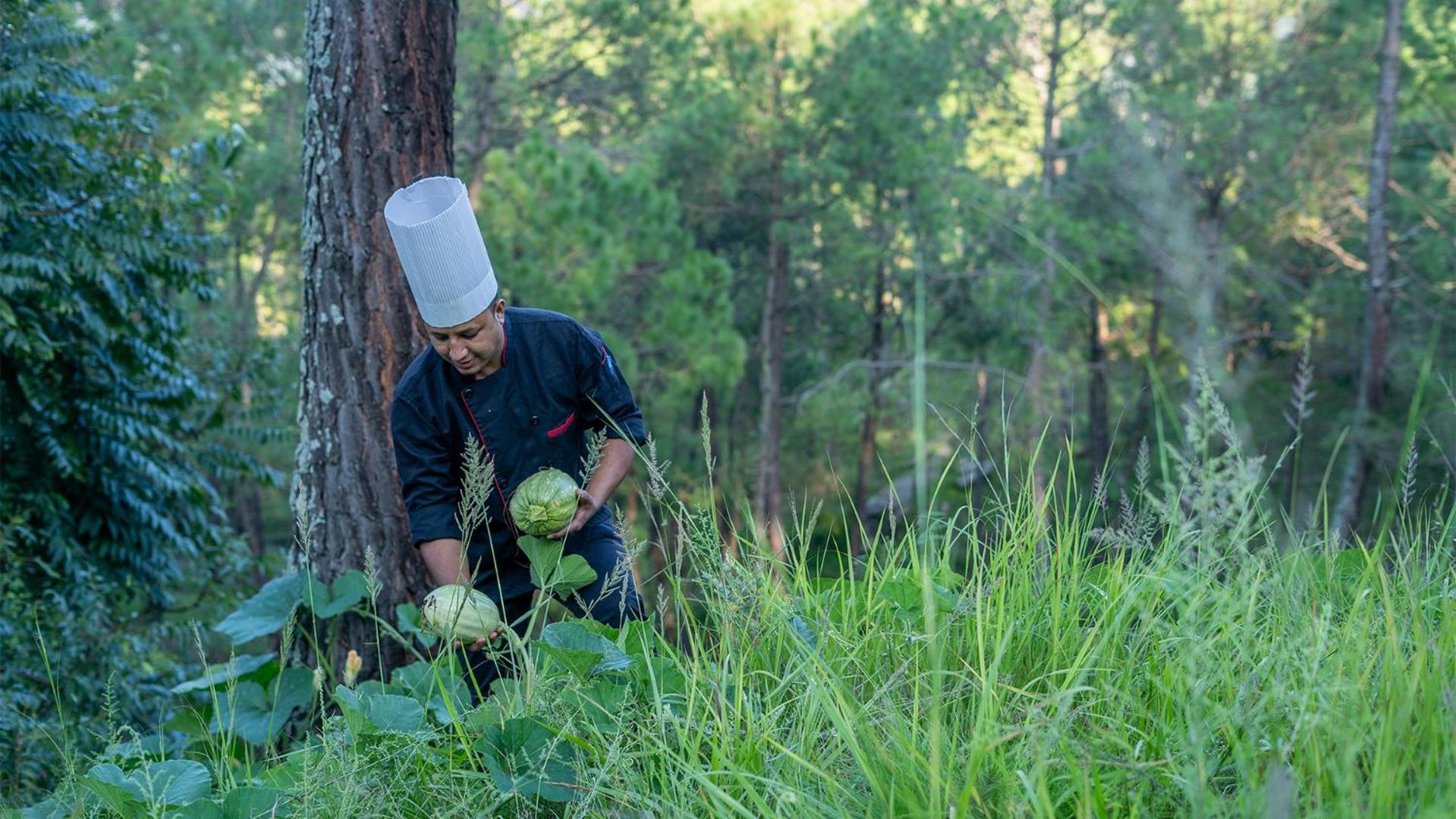 Seed At Queens Meadows, Ranikhet Exterior photo